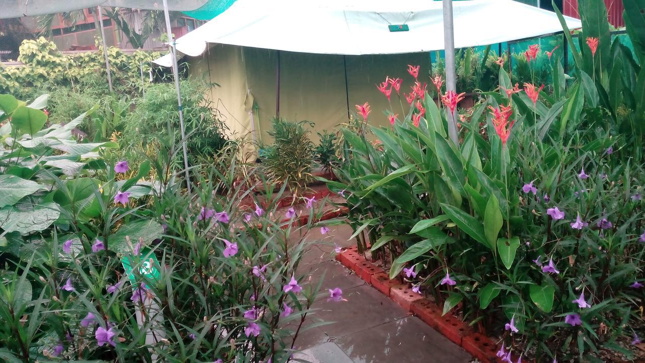 판타이체낭 T Garden 빌라 외부 사진